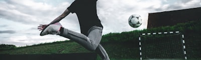 阿根廷国家男子足球队蓝白条纹队徽